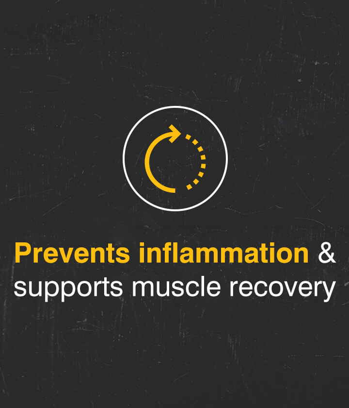 Prevent Inflammations & supports muscle recovery 